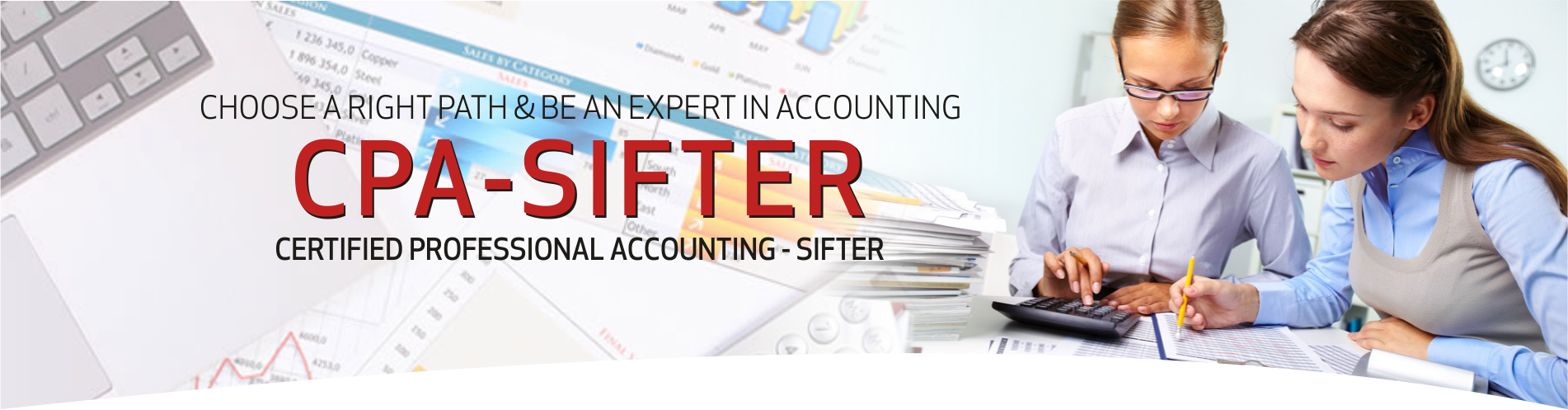 computerise financial professinal accounting